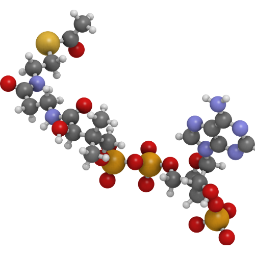 Polymer Chemistry